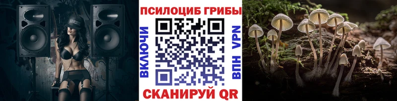 где купить наркоту  Мегион  блэк спрут ТОР  Галлюциногенные грибы GOLDEN TEACHER 