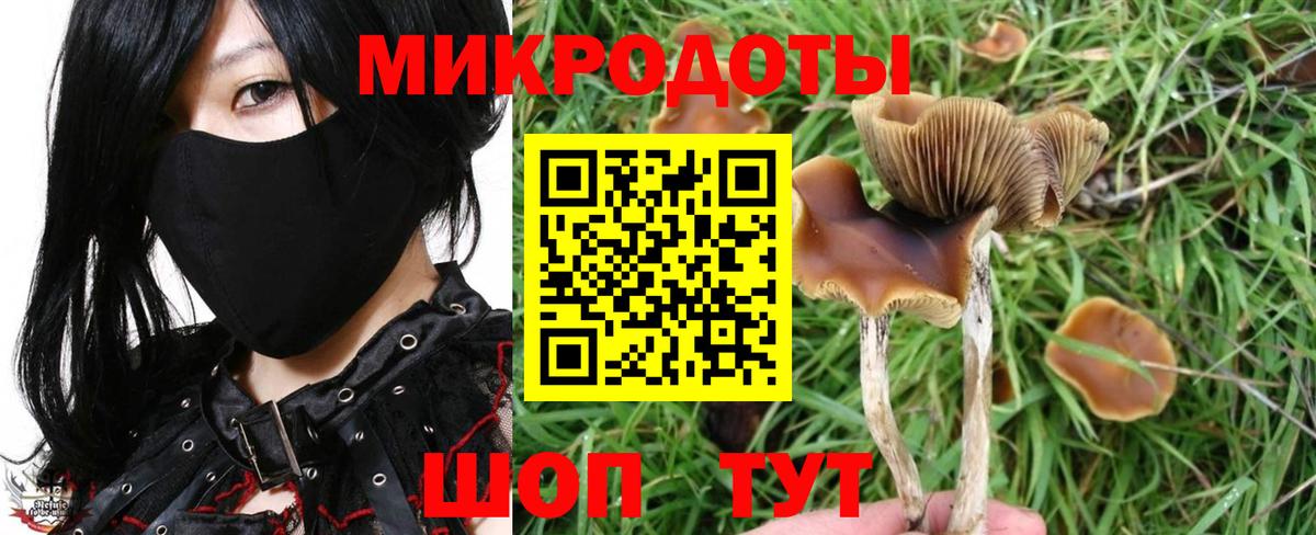 Псилоцибиновые грибы Magic Shrooms  Галлюциногенные грибы ЛСД  Вход с VPN  Мегион 